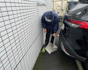 🌸新メンバーさんの様子