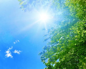🌞太陽を浴びよう