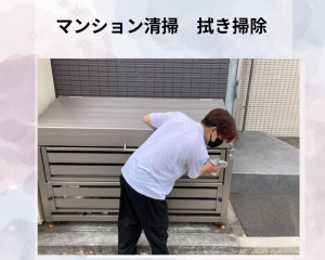 新しいメンバーさんが頑張っています
